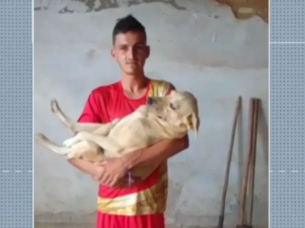 Potiguar reencontra cachorro desaparecido há quatro meses durante bloco de carnaval em cidade vizinha